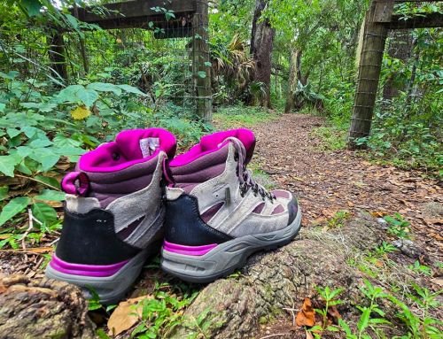 Final Thought – My Next Adventure: Making Sure There Are More Adventures