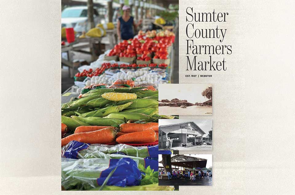 sumter-county