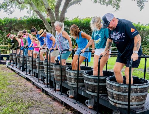 On the Scene: Foot Stomping Fun at Lakeridge Winery’s Harvest Fest