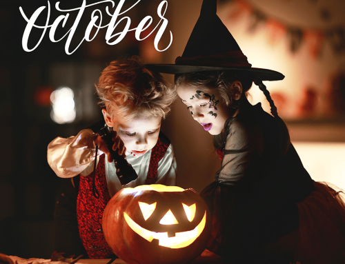 October Hit List: Tortoises, Farm Stands and Hometown Heroes